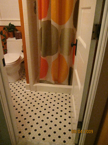 Residential Bath  in Lyric Unglazed Hex Mosaic Tile-Chalk & Raven Polka Dot