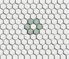 Lyric Rosette Hexagon Tile Pattern in Celadon Green & White