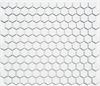 Lyric Modern Mosaics Penny Tiles in Ice White